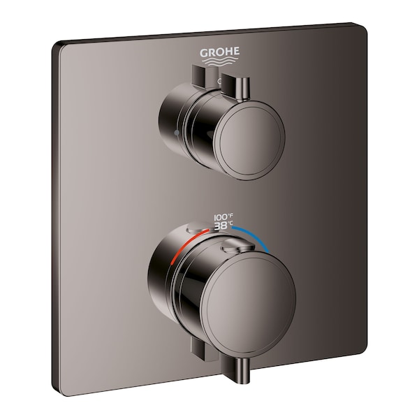 Single Function 2-Handle Thermostatic Valve Trim, Gray